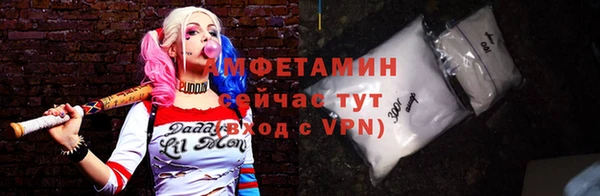 индика Волосово