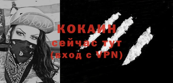 индика Волосово