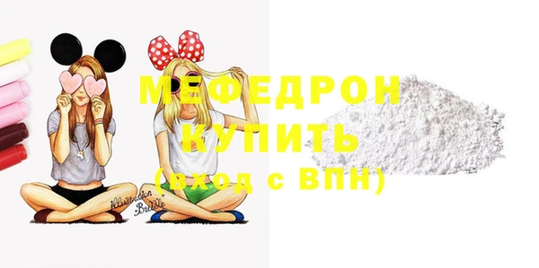 индика Волосово