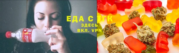 индика Волосово