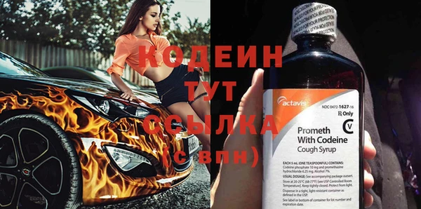 индика Волосово