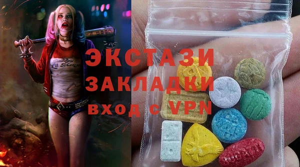 индика Волосово