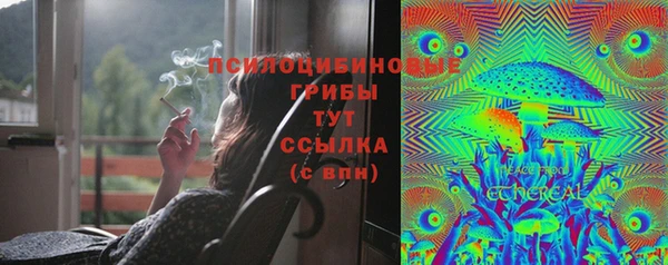 индика Волосово