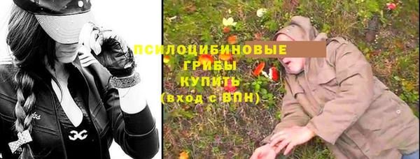 индика Волосово