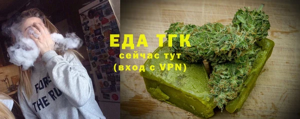 индика Волосово