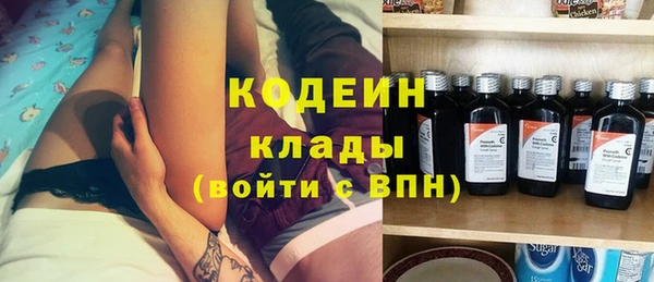 индика Волосово