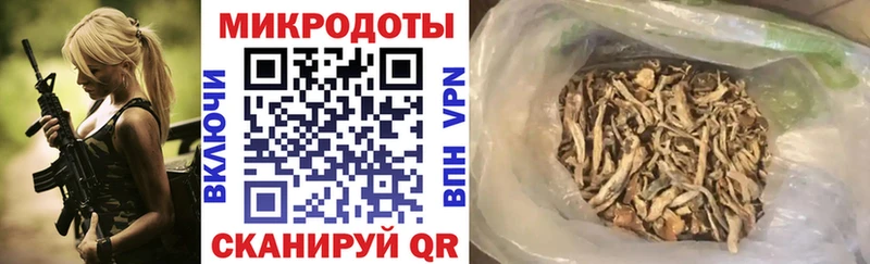 Купить  Кузнецк  Псилоцибиновые грибы MAGIC MUSHROOMS 
